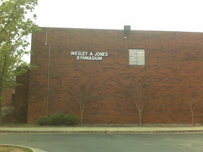 Cast Aluminum Dimensional Letters