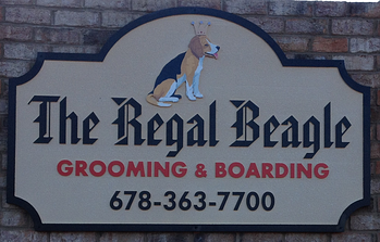 Detail on Beagle Sign