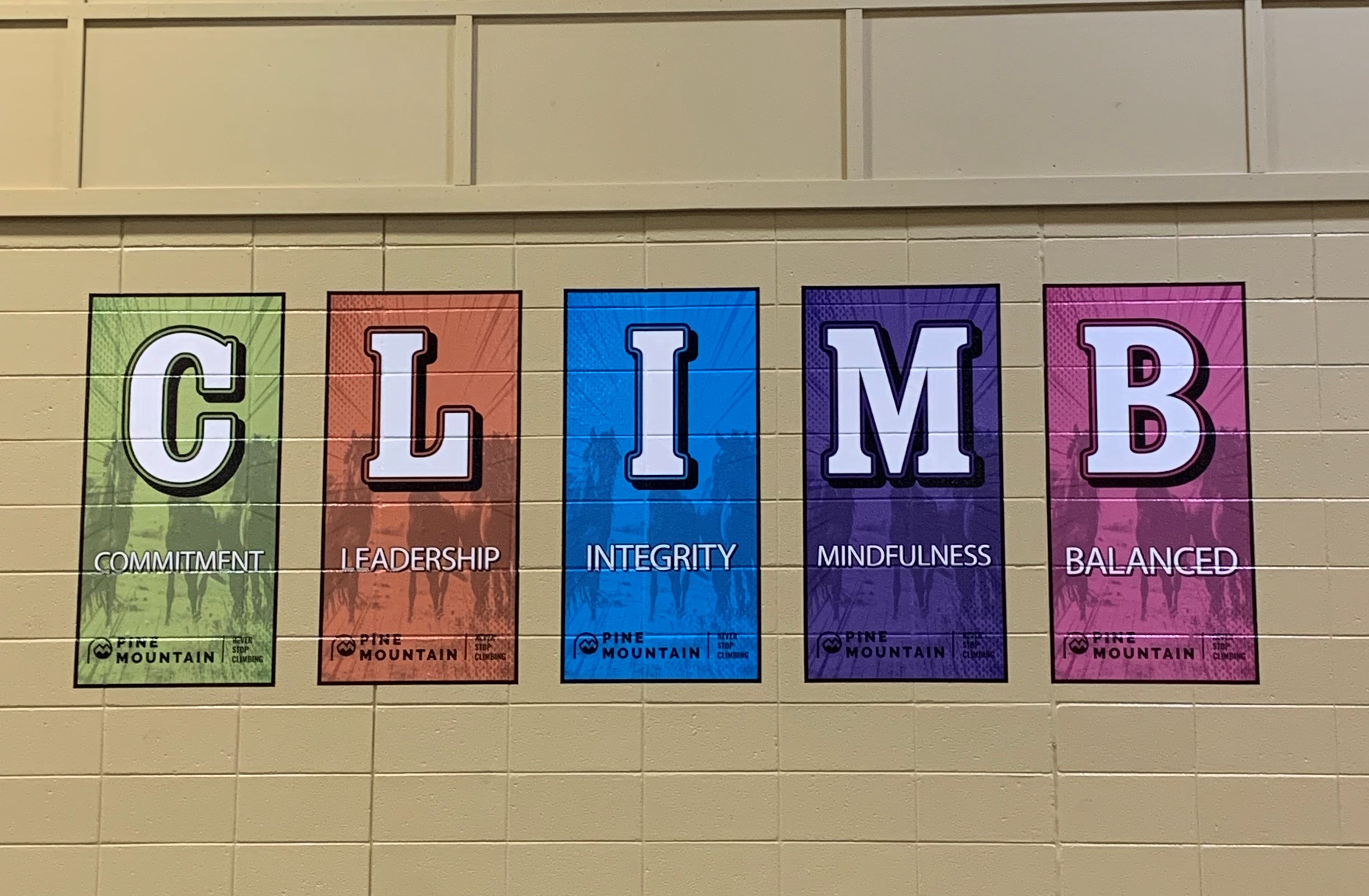 School-Wall-Wrap